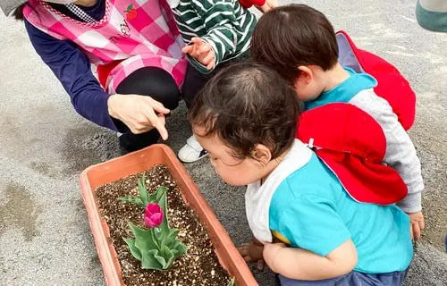 にいぞ虹保育園（保育士の求人）の写真13枚目：