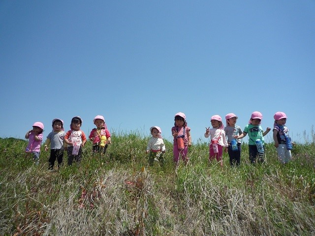 森と自然の保育園のびのびハウス(保育士の求人)の写真7枚目: