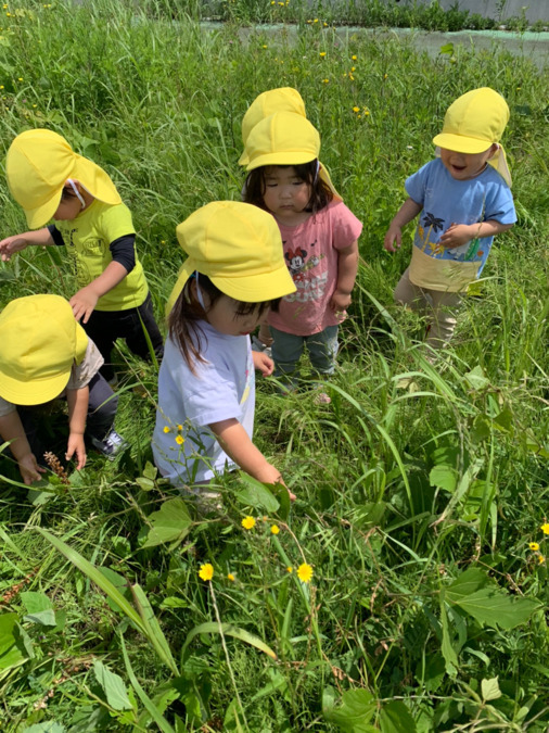 取手駅前みつぼし保育園の写真
