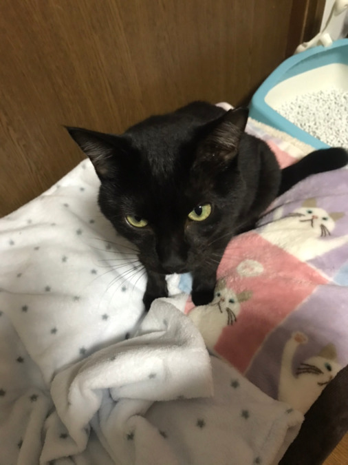 わおん障がい者グループホーム八街に（生活支援員の求人）の写真2枚目：