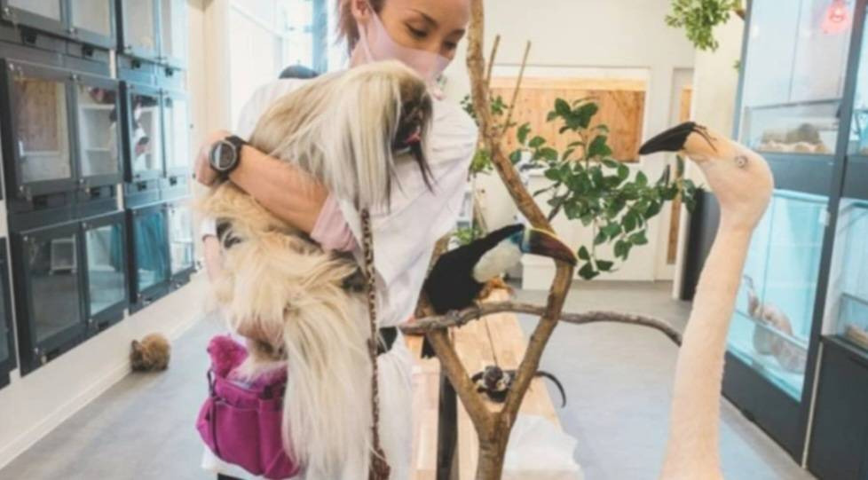 想いのまま（サービス管理責任者の求人）の写真2枚目：