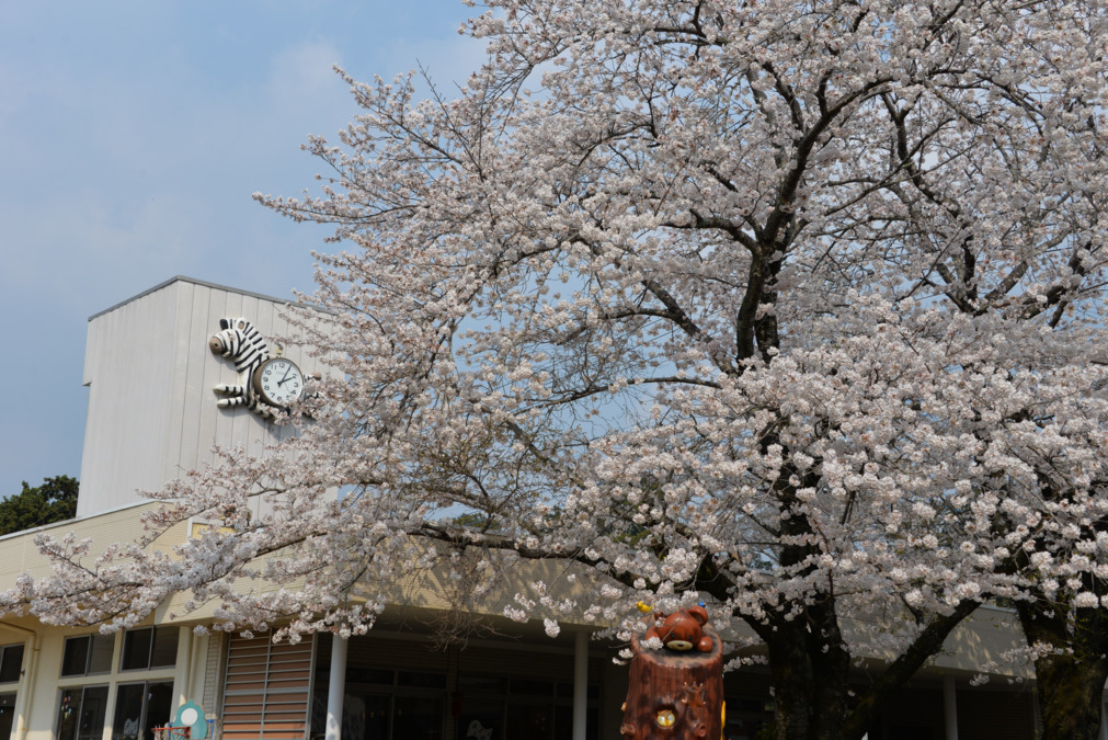 太子幼稚園の写真