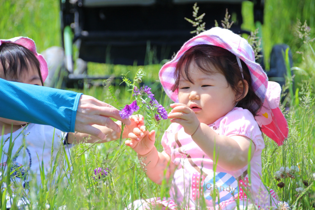 さくらがおかこども園（保育士の求人）の写真4枚目：