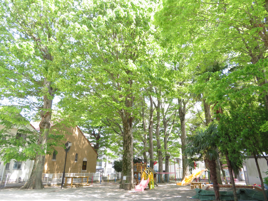 認定こども園聖母幼稚園（保育士の求人）の写真4枚目：