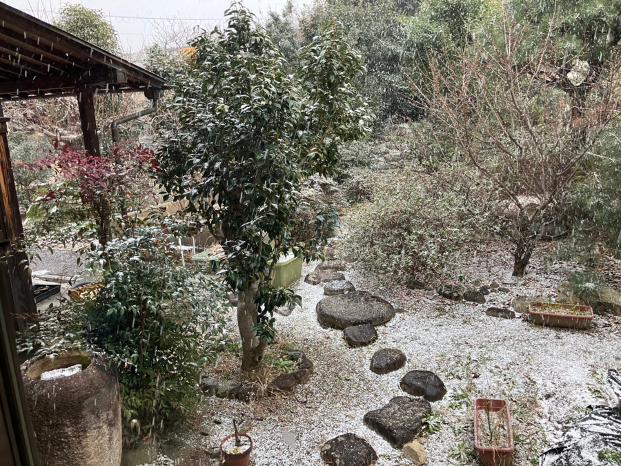 デイサービス福町（一般財団法人　氏家記念財団）（介護職/ヘルパーの求人）の写真4枚目：デイの敷地内には素敵な庭があり、利用者さんと一緒に散歩したりします。