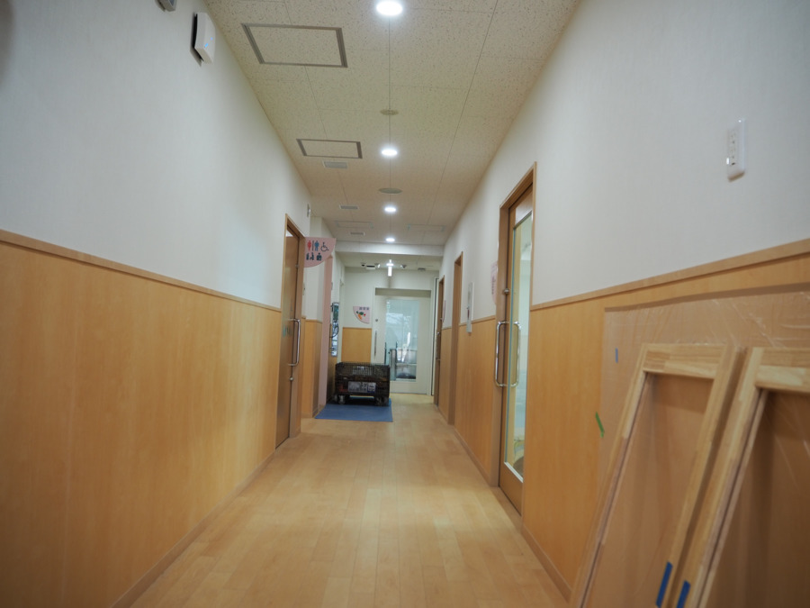 タムスわんぱく保育園木場の写真2枚目：タムスわんぱく保育園木場　廊下