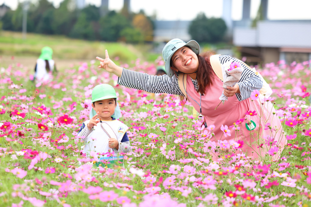 豊田花園幼稚園（幼稚園教諭の求人）の写真10枚目：秋には近くのコスモス畑に散策に出掛けます。