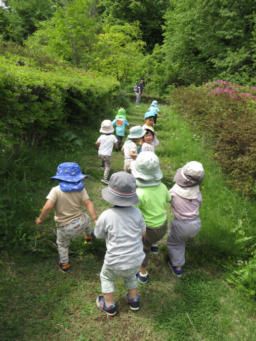 小雀みどり保育園(保育士の求人)の写真6枚目: