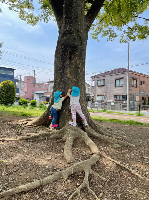 おさなご園の写真4枚目：