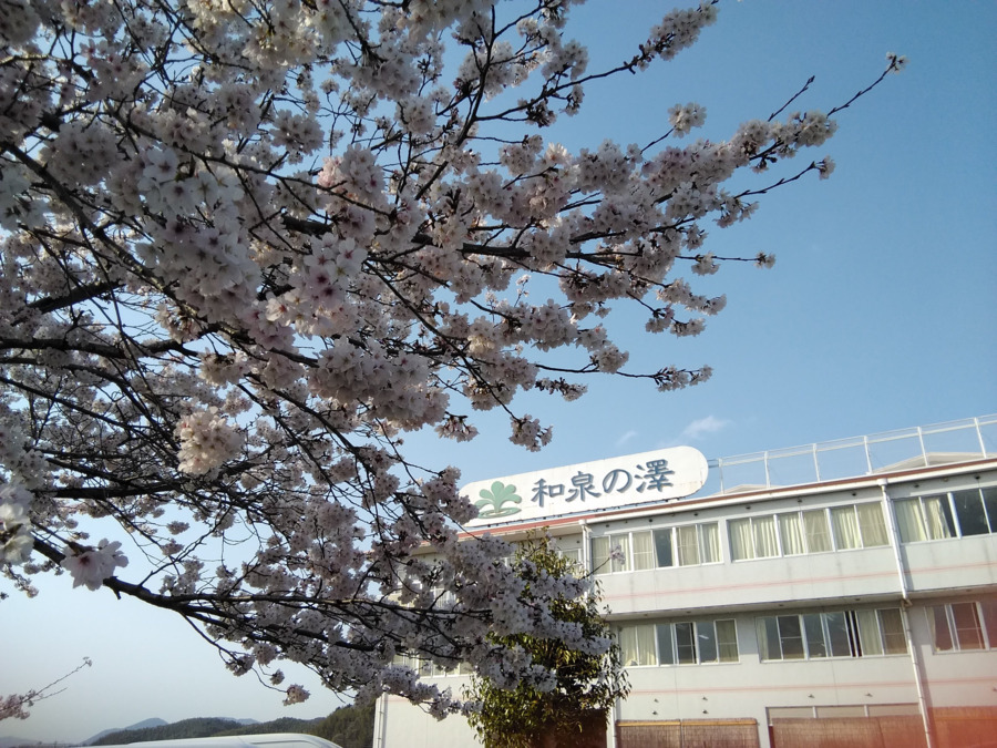 介護老人保健施設 和泉の澤の写真2枚目：
