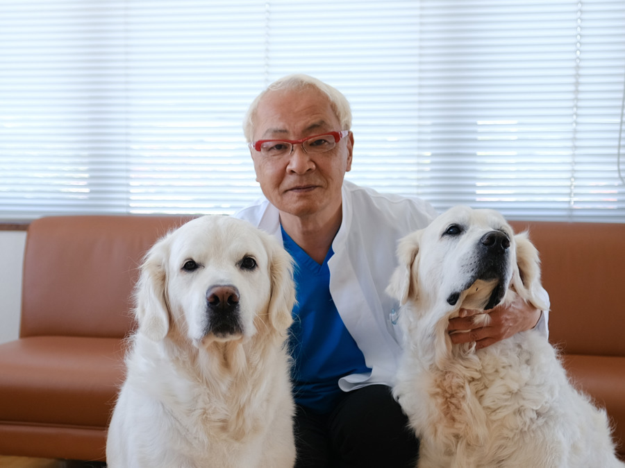 ナベタ歯科医院の写真3枚目：