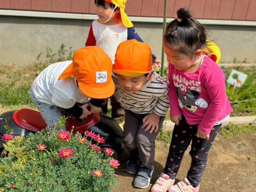 リトルガーデンおゆみ野の写真