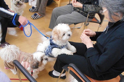 グループホームせーじゅの写真3枚目: