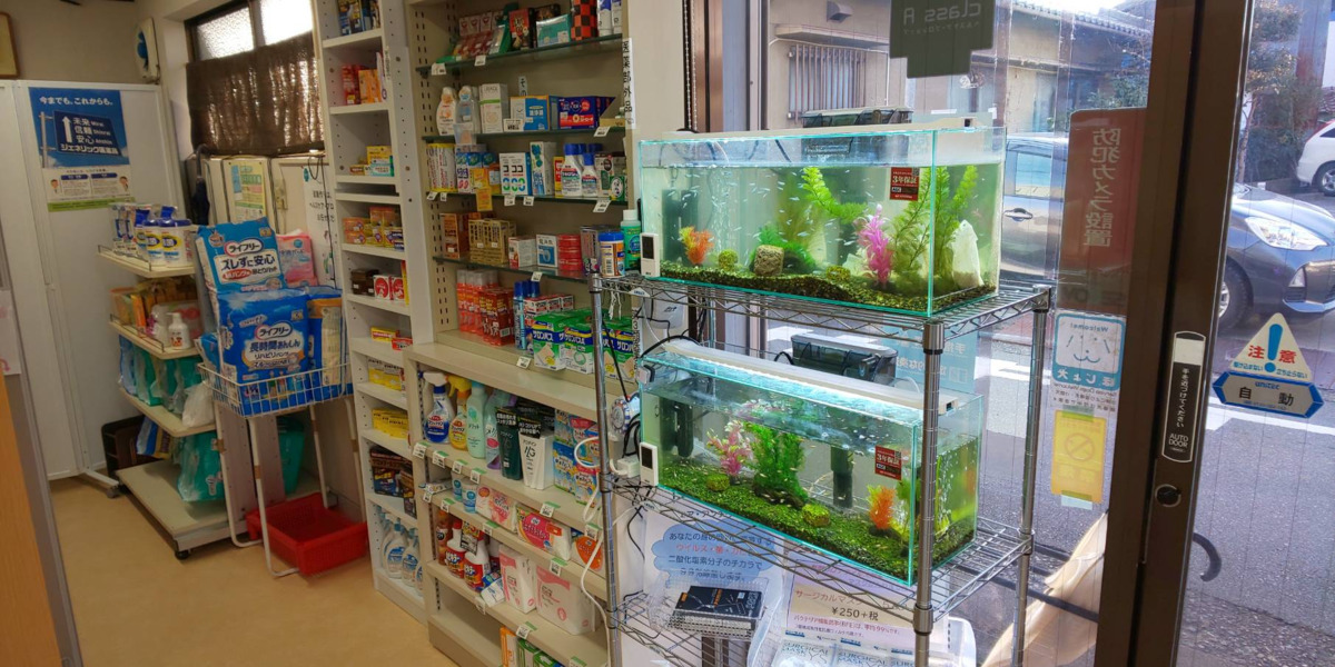 吉田薬局の写真8枚目:当薬局で生まれたメダカも、泳いでいます。