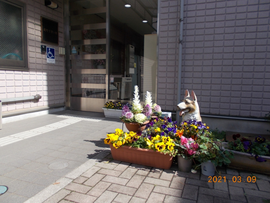 ミモザ茅ヶ崎デイサービスの写真5枚目：ご利用者に、そっと寄り添い・支えあう。ありのままを受け入れ支援して行きます。
