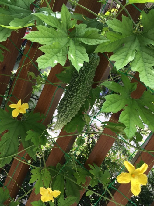 訪問介護でこぽんの写真3枚目：