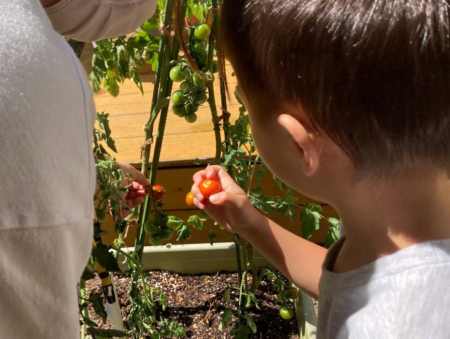 社会福祉法人和光会 駒沢わこう保育園の写真