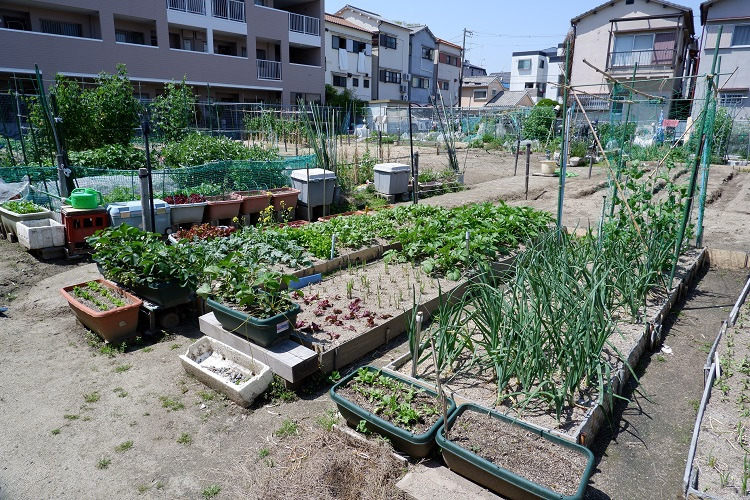 デイサービスセンター道(介護職/ヘルパーの求人)の写真2枚目: