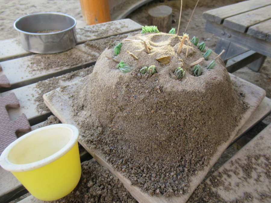 ななこども園(保育士の求人)の写真:ケーキ?ご飯?
さて、これは何を作ったのでしょう…?