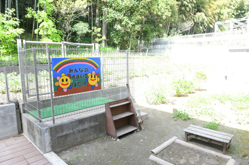 湘南わもっか保育園の写真10枚目：