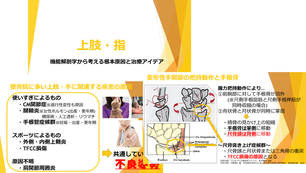 スマイル整骨院 大和東（柔道整復師の求人）の写真9枚目：勉強会資料～機能解剖「上肢・指」～