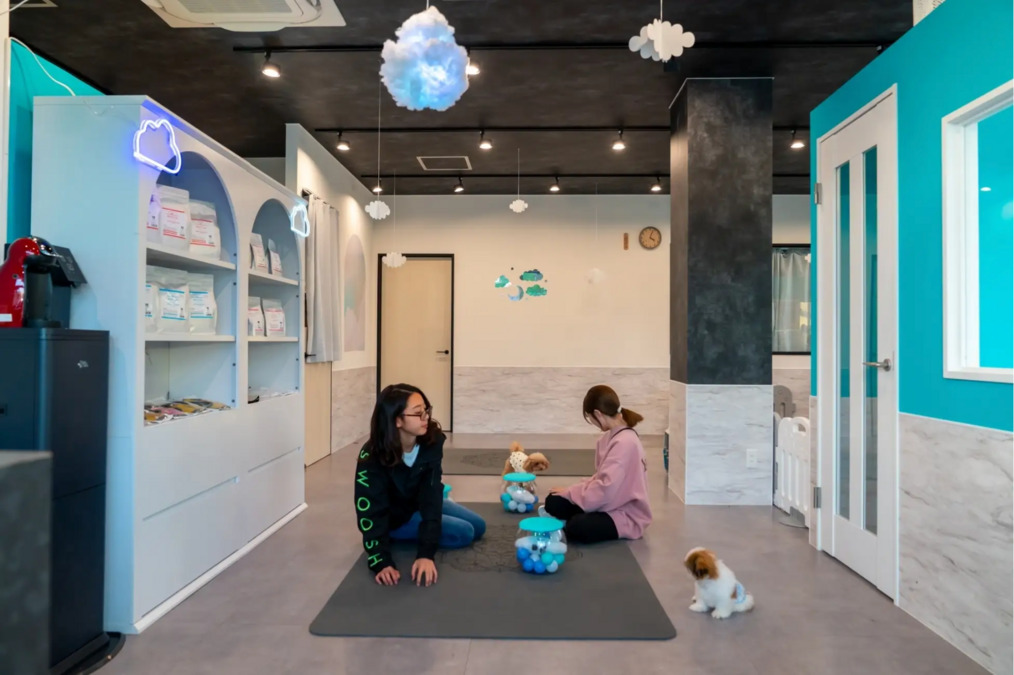 就労継続支援B型事業所 ANNELA CAFE札幌店【2025年10月オープン予定】（サービス管理責任者の求人）の写真4枚目：
