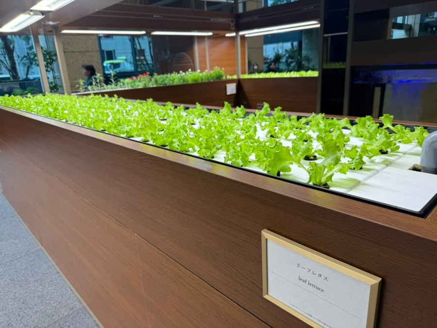 就労継続支援B型事業所アルコ【2026年03月オープン予定】（サービス管理責任者の求人）の写真5枚目：