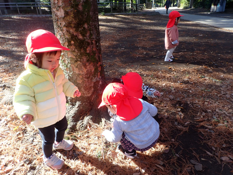 さつき保育園石神井ルームの写真