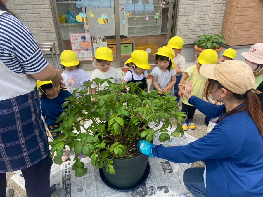 アルページュ保育園 中浦和（保育士の求人）の写真5枚目：