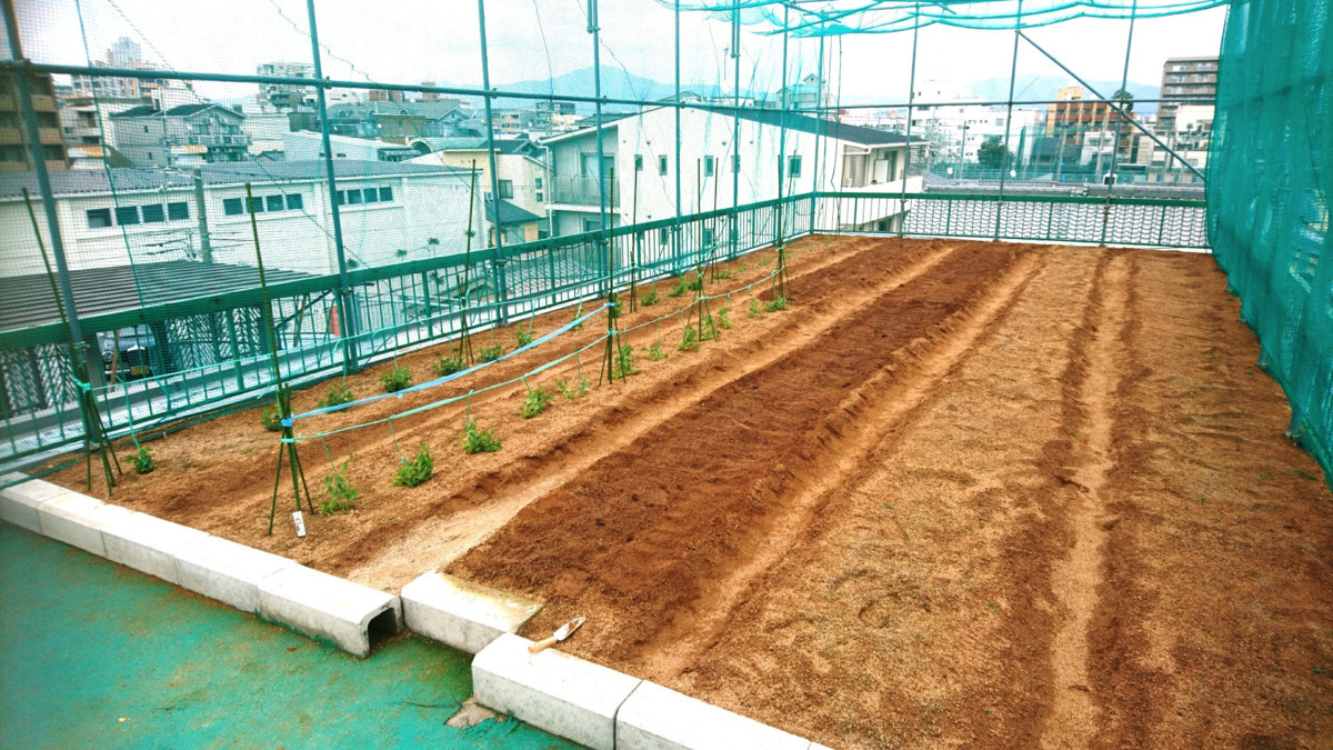 自立訓練事業所ウッドワン（生活支援員の求人）の写真6枚目：