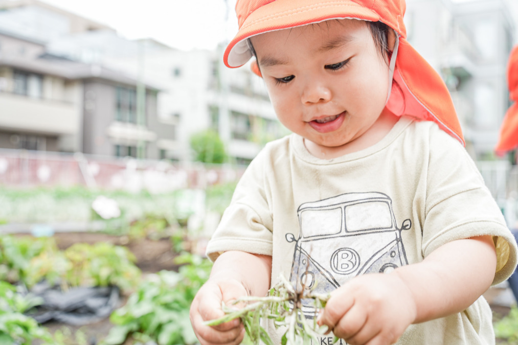 第二ゆりの花保育園（保育補助の求人）の写真9枚目：