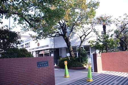 日体幼稚園(幼稚園教諭の求人)の写真: