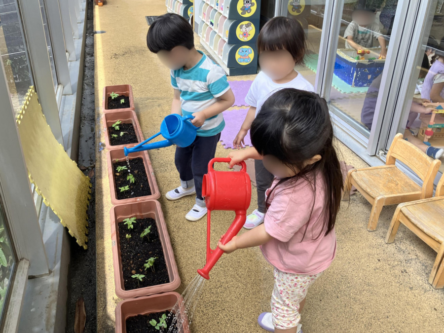 牟礼の森トキ保育園（保育士の求人）の写真5枚目：