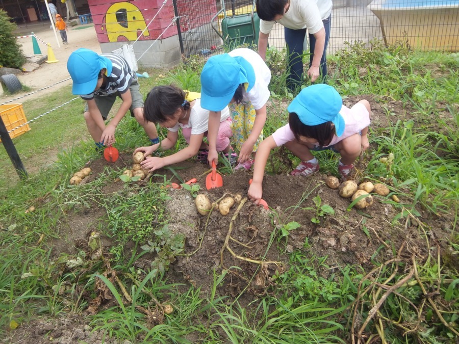 社会福祉法人さいわい福祉会  法人本部の写真15枚目：