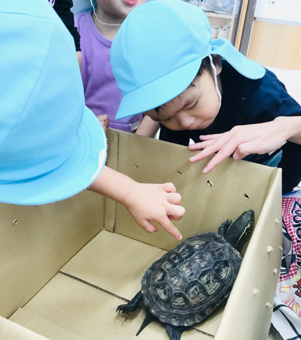 戸塚おもいやり保育園（企業主導型保育園）（保育士の求人）の写真14枚目：