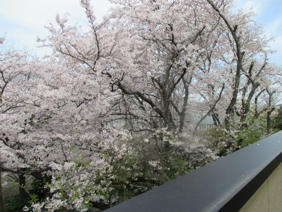 ミモザ横濱紫陽花苑介護付きホームの写真7枚目：ご利用者に、そっと寄り添い・支えあう。ありのままを受け入れ支援して行きます。
