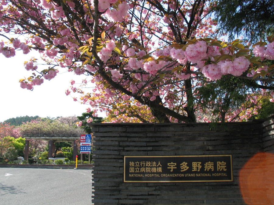 宇多野病院の写真