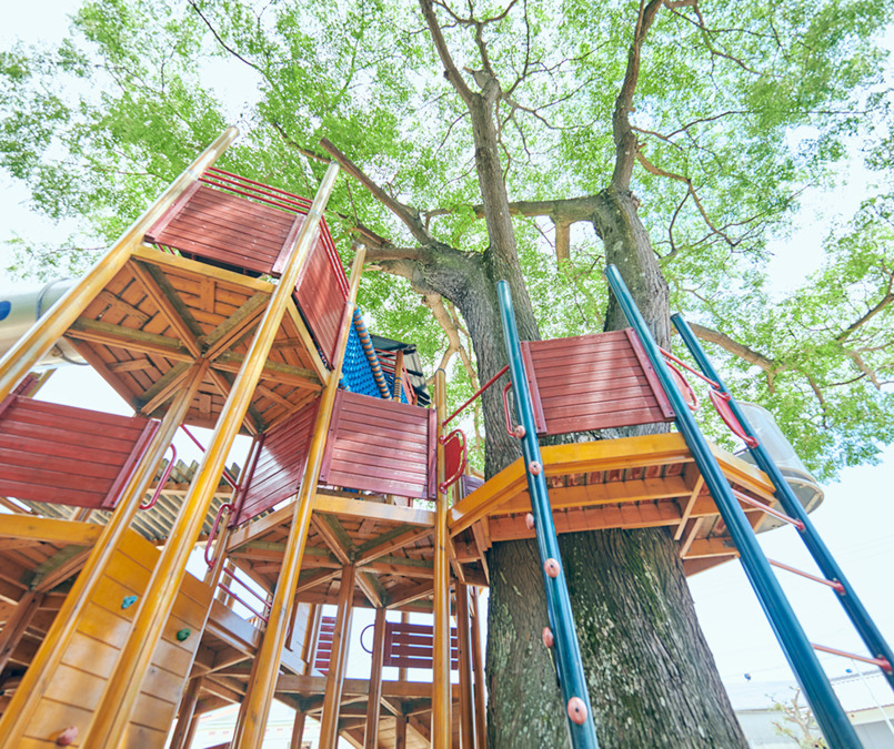 桃山幼稚園（保育補助の求人）の写真3枚目：