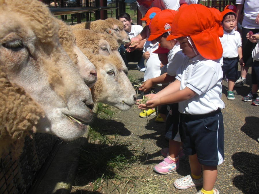 よつば保育園（保育士の求人）の写真4枚目：