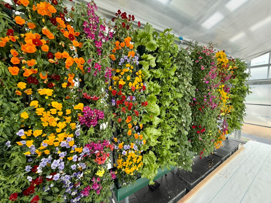 就労継続支援B型事業所アルコ【2026年03月オープン予定】（サービス管理責任者の求人）の写真8枚目：