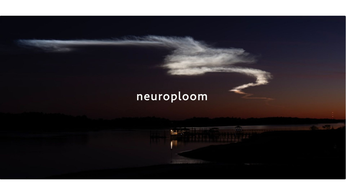 株式会社neuroploom大阪本社の写真