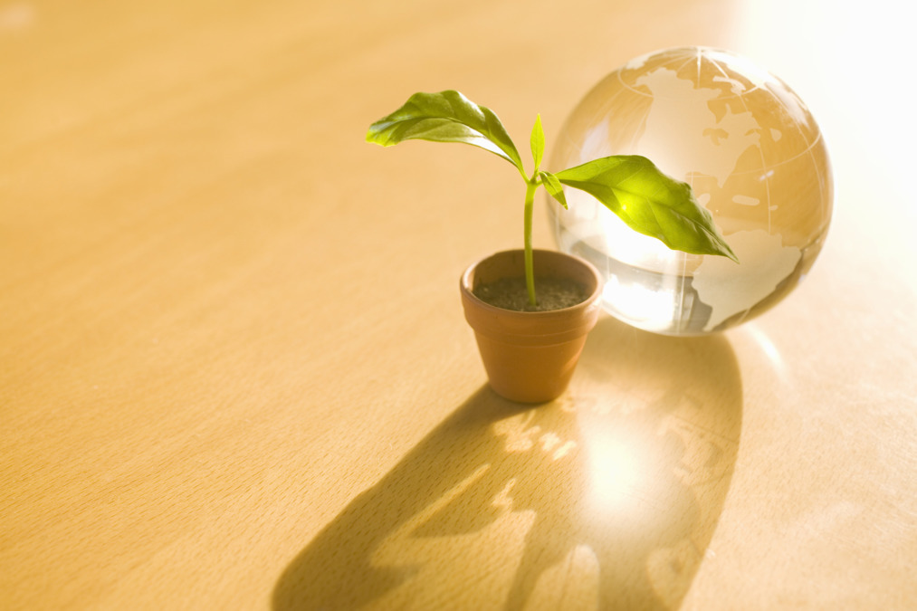 就労継続支援A型事業所メトラボ(仮称)(サービス管理責任者の求人)の写真4枚目: