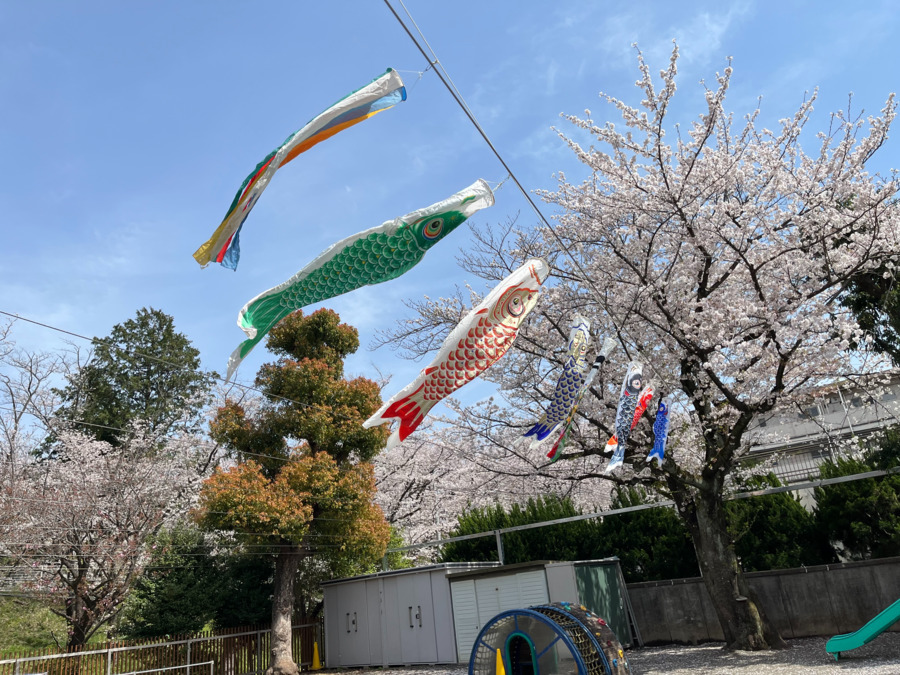 千丸台保育園（保育士の求人）の写真10枚目：春は桜がきれいです。