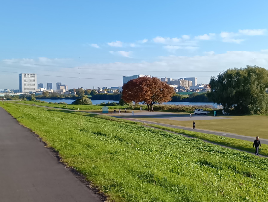 ガイア訪問看護ステーション　蒲田（理学療法士の求人）の写真8枚目：多摩川が近いので緑も多く訪問中も季節を感じられます
