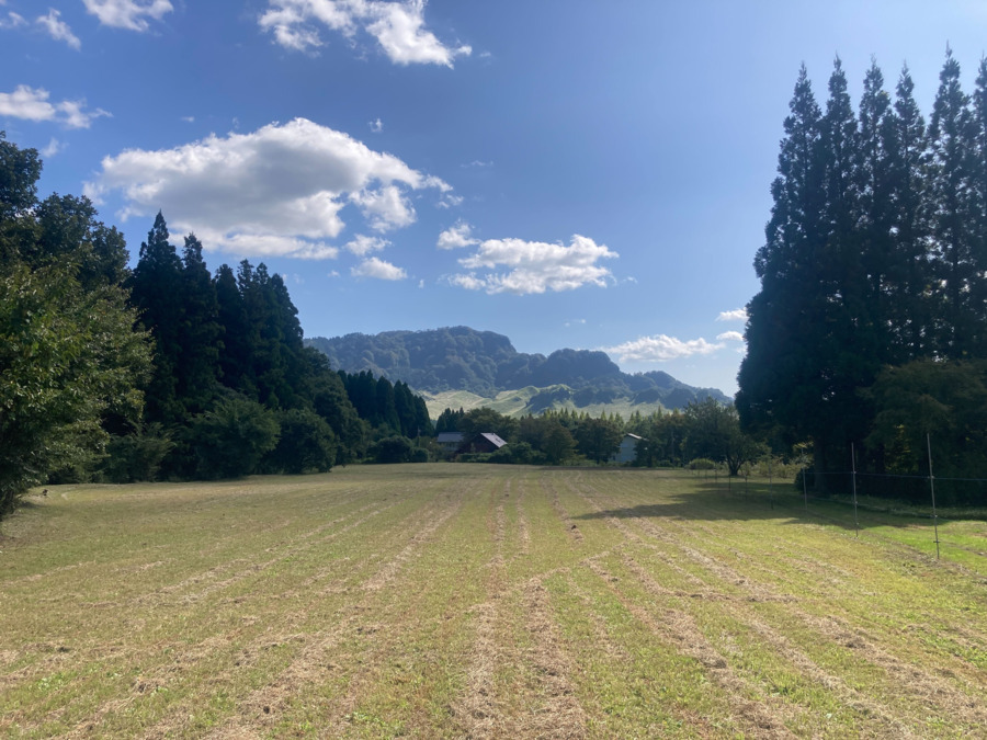 Japonic Coffee Farm コーヒー&ITワークス 阿蘇ベースの写真6枚目: