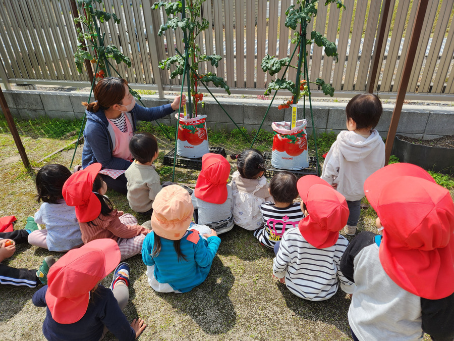 トマトの森保育園（調理師/調理スタッフの求人）の写真2枚目：