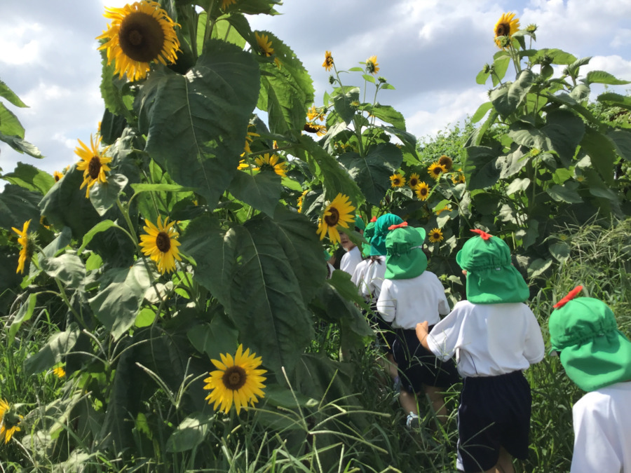 立野みどり保育園の写真