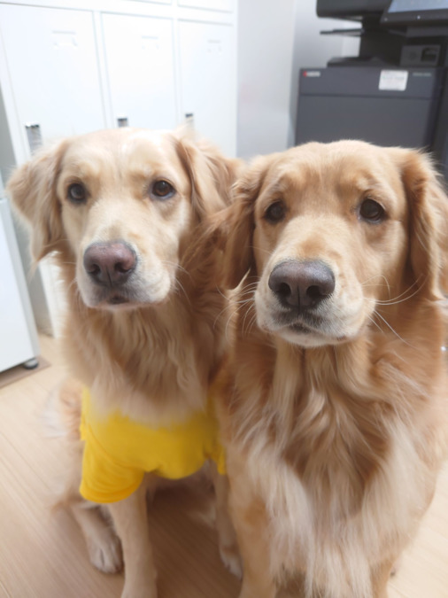 放課後等デイサービス わんダフルの写真3枚目: