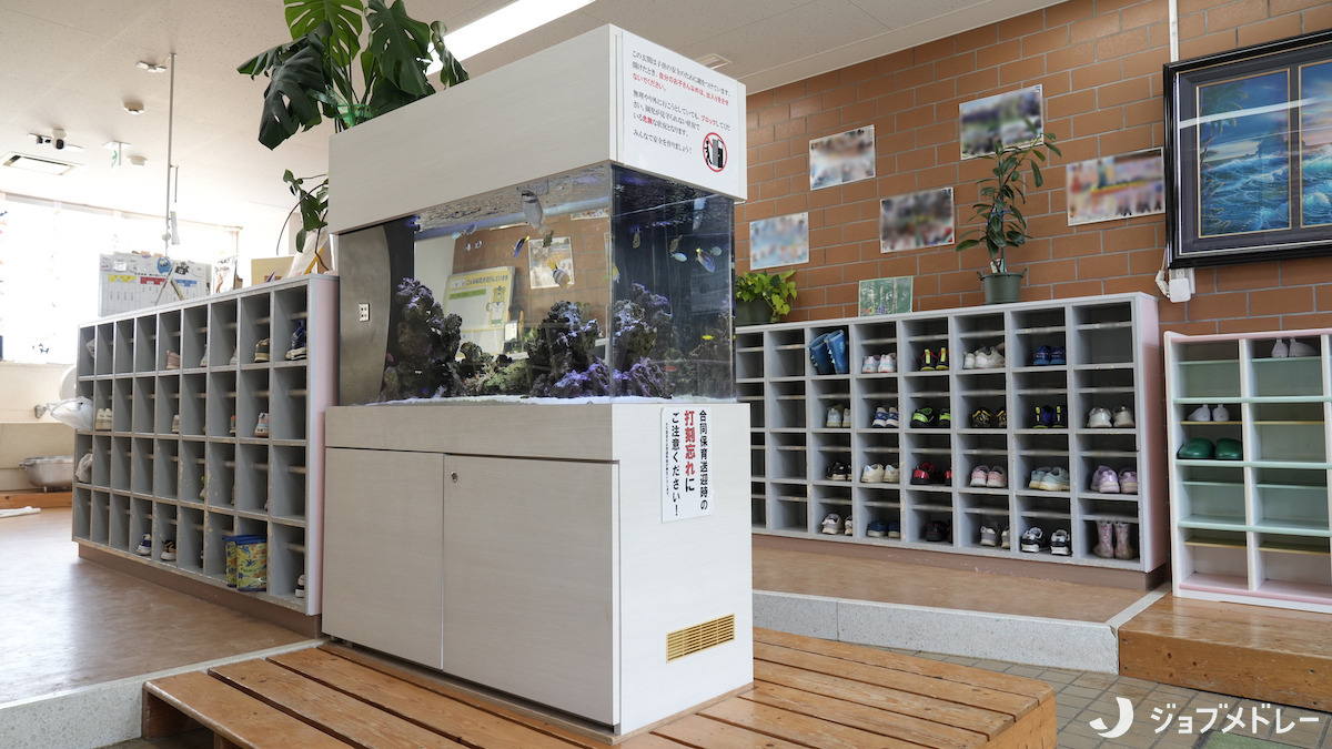 認定こども園　手賀の丘幼稚園・保育園（保育士の求人）の写真12枚目：下駄箱には水槽があります