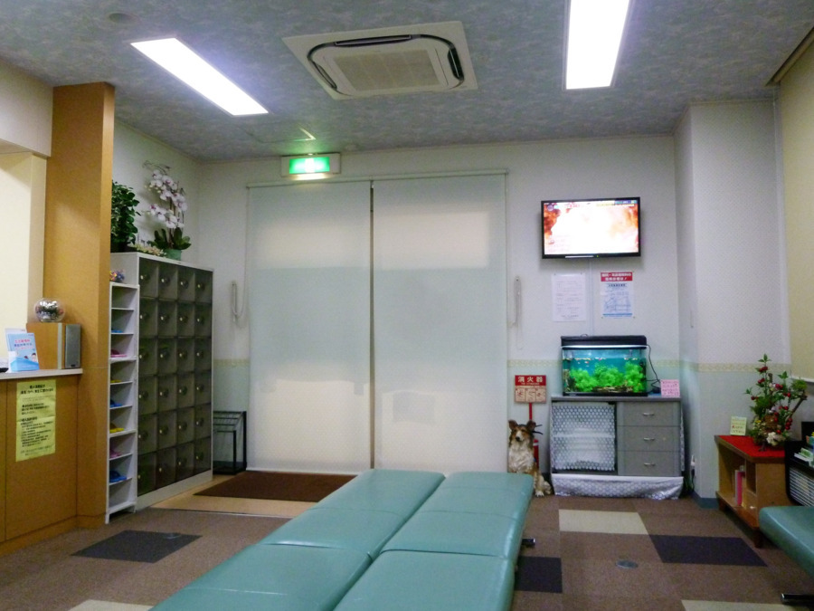 医療法人 垣鍔耳鼻咽喉科・アレルギー科（看護助手の求人）の写真2枚目：